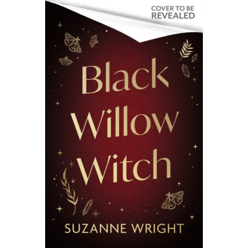 Little, Brown Book Group Black Willow Witch (häftad, eng)