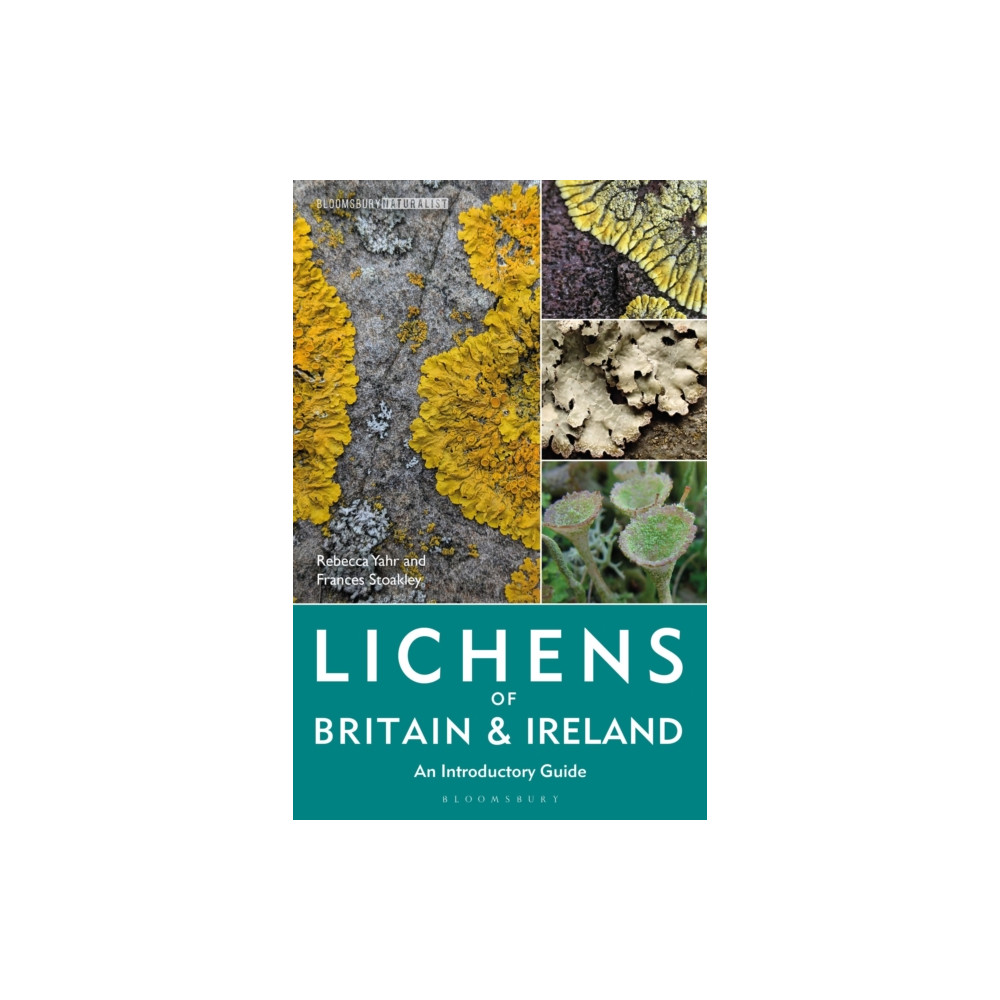 Produktbild för Lichens of Britain and Ireland (häftad, eng)