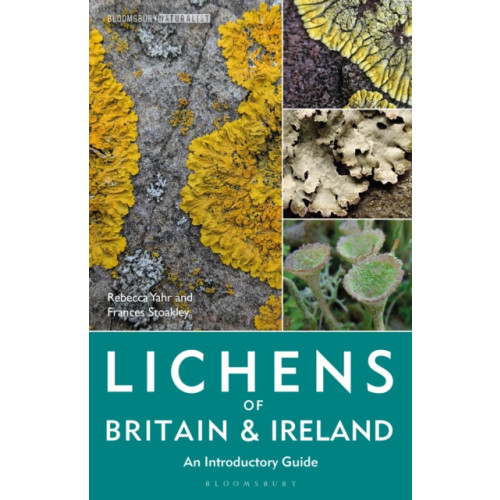 Bloomsbury Publishing PLC Lichens of Britain and Ireland (häftad, eng)