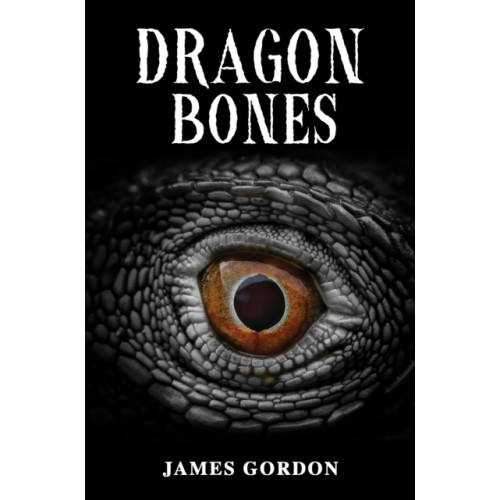 Austin Macauley Publishers Dragon Bones (häftad, eng)