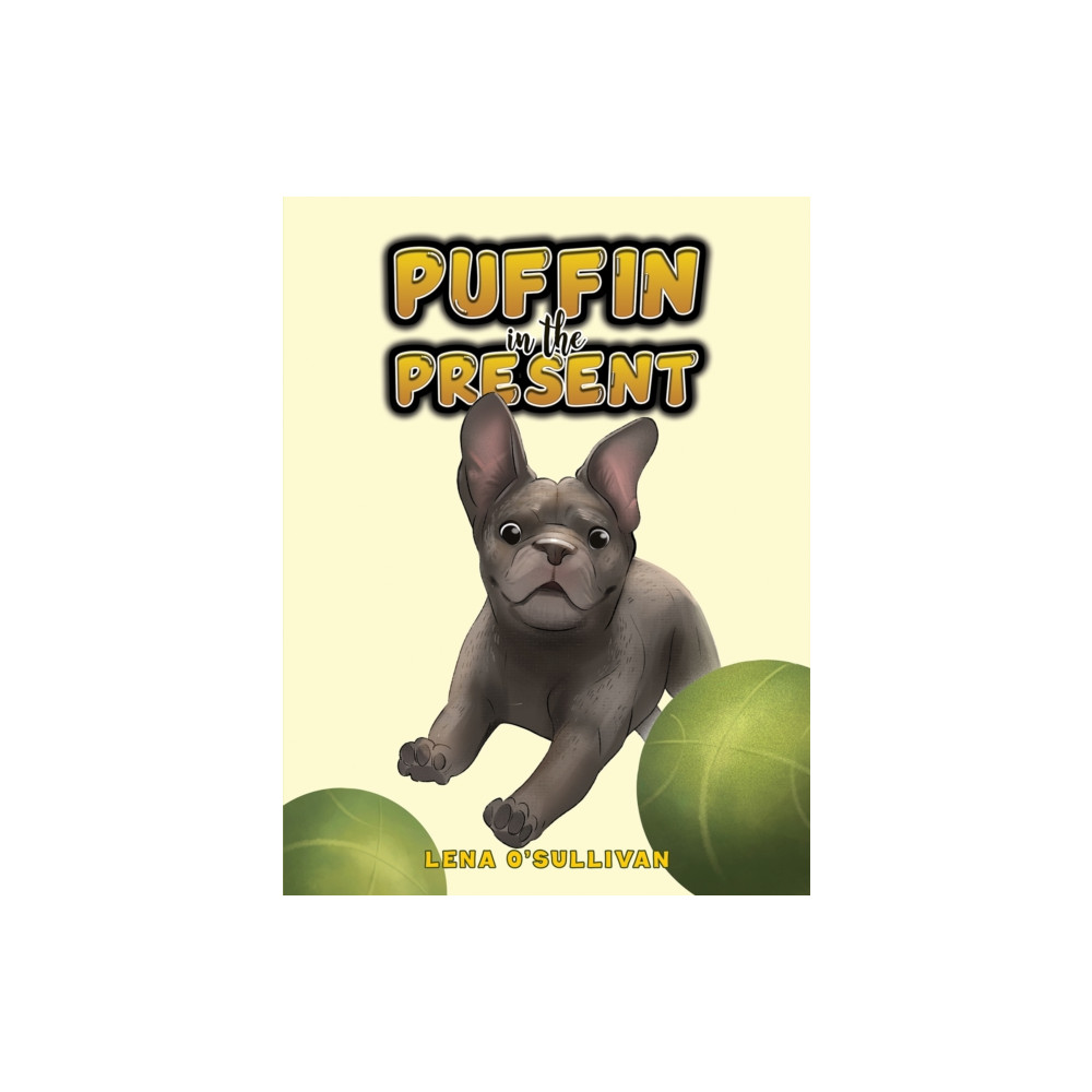 Produktbild för Puffin in the Present (häftad, eng)