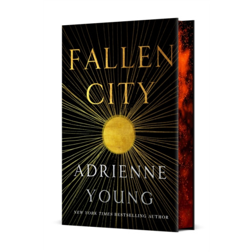 St. Martin's Publishing Group Fallen City (inbunden, eng)