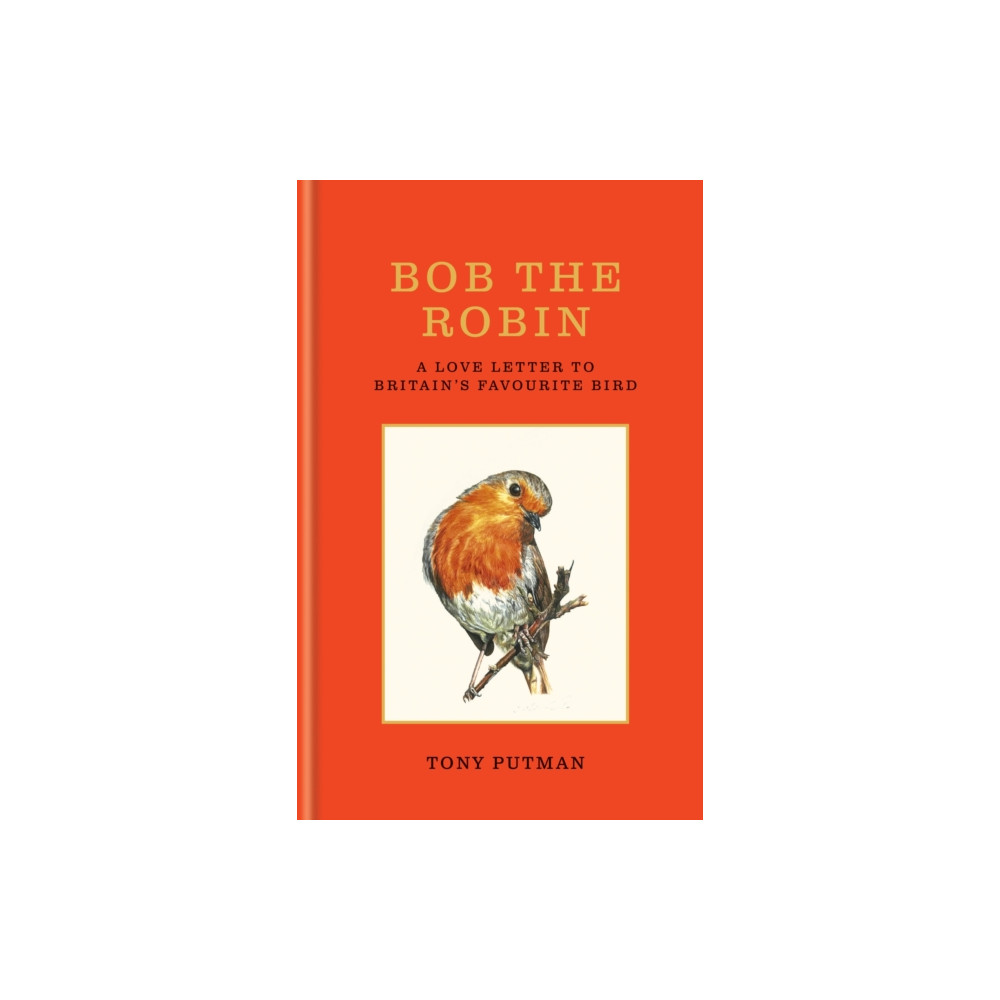 Produktbild för Bob the Robin (inbunden, eng)