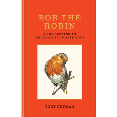 Octopus publishing group Bob the Robin (inbunden, eng)
