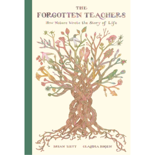 Enchanted Lion Books The Forgotten Teachers (inbunden, eng)