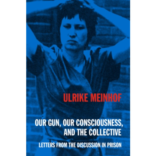 PM Press Our Gun, Our Consciousness, and the Collective (häftad, eng)