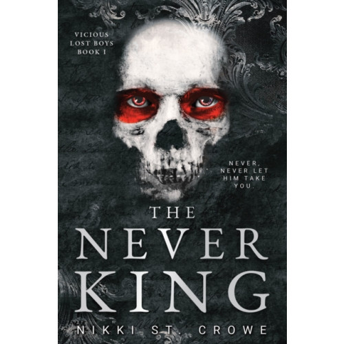 Zando The Never King (Vicious Lost Boys 1) (häftad, eng)
