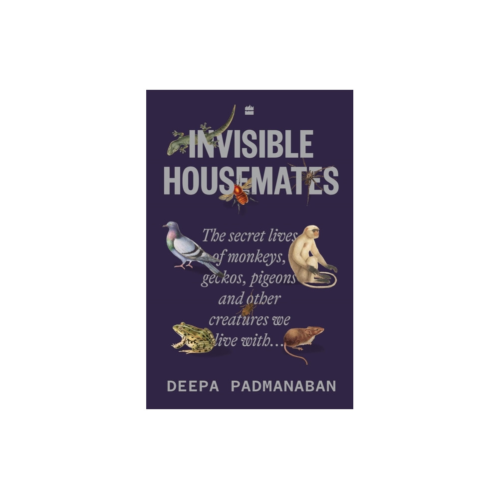 Produktbild för Invisible Housemates (häftad, eng)