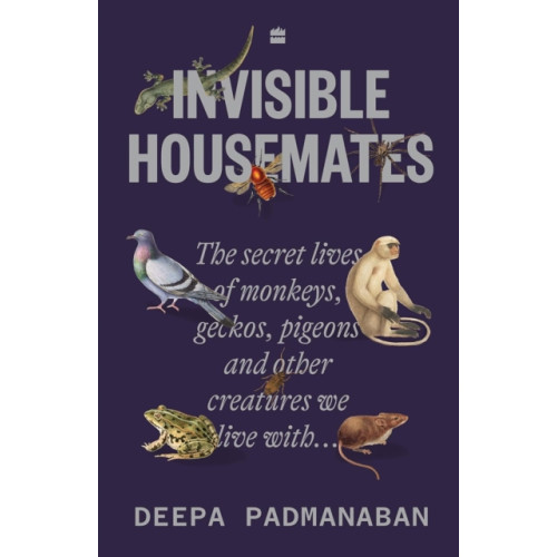 HarperCollins Publishers India Invisible Housemates (häftad, eng)