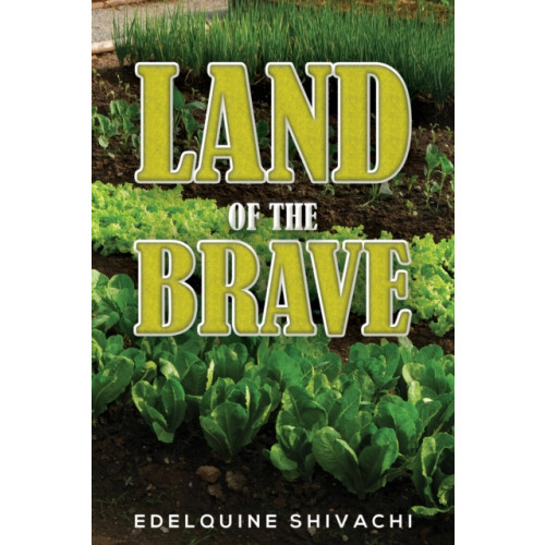 Austin Macauley Publishers LLC Land of the Brave (häftad, eng)