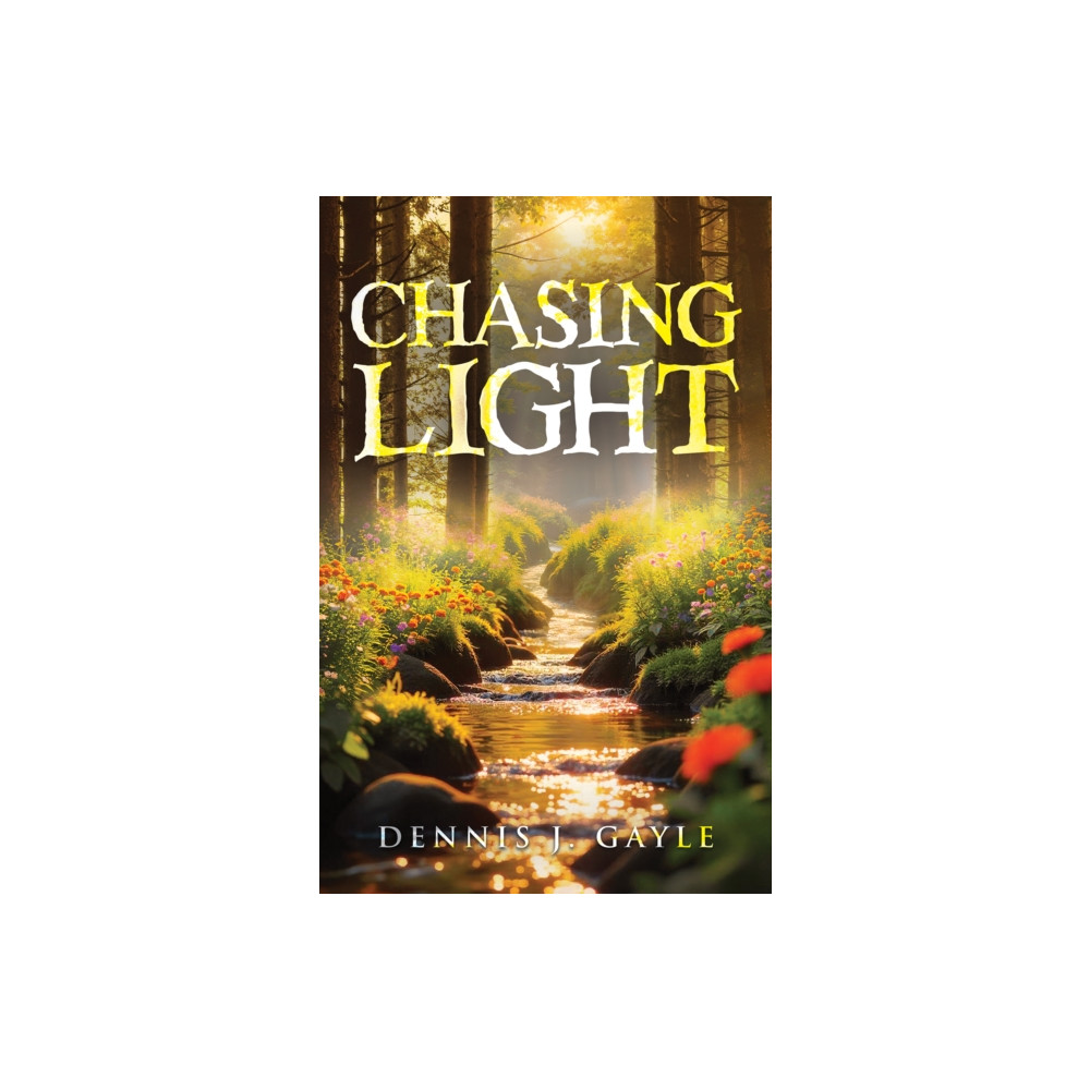 Produktbild för Chasing Light (häftad, eng)