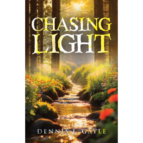Austin Macauley Publishers LLC Chasing Light (häftad, eng)