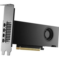 Produktbild för NVIDIA RTX 2000 Ada Generation - grafikkort - NVIDIA RTX 2000 Ada - 16 GB