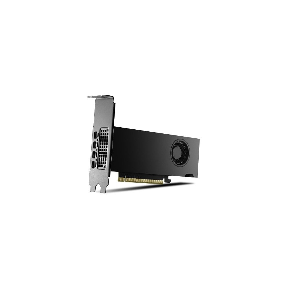 Produktbild för NVIDIA RTX 2000 Ada Generation - grafikkort - NVIDIA RTX 2000 Ada - 16 GB