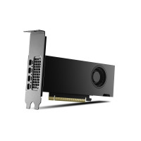 Produktbild för NVIDIA RTX 2000 Ada Generation - grafikkort - NVIDIA RTX 2000 Ada - 16 GB