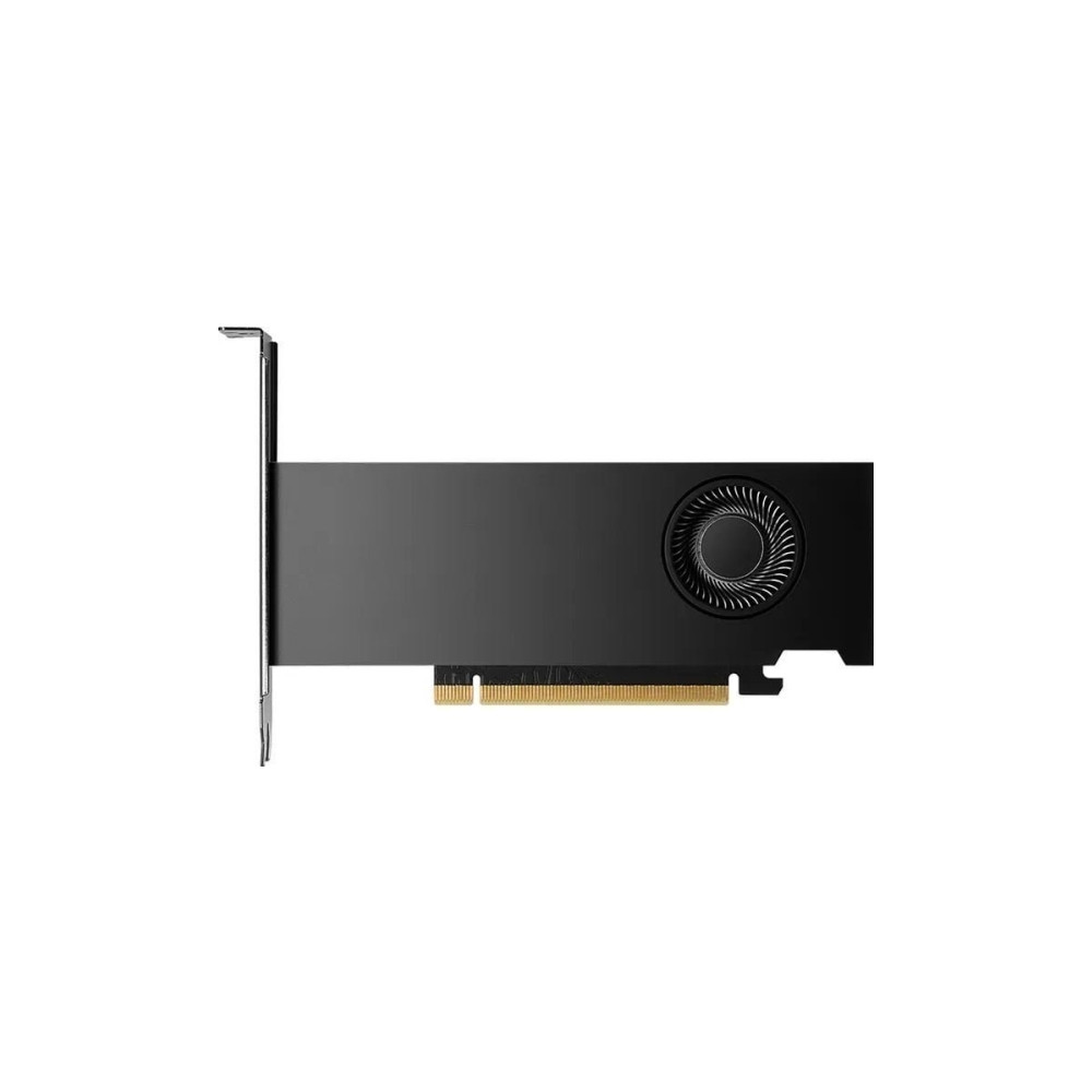 Produktbild för NVIDIA RTX 2000 Ada Generation - grafikkort - NVIDIA RTX 2000 Ada - 16 GB