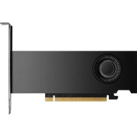 Produktbild för NVIDIA RTX 2000 Ada Generation - grafikkort - NVIDIA RTX 2000 Ada - 16 GB