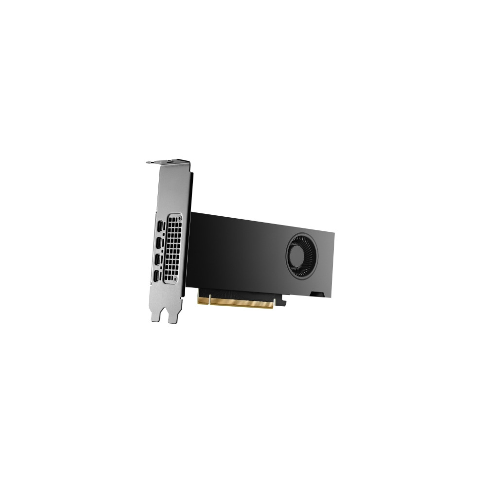 Produktbild för NVIDIA RTX 2000 Ada Generation - grafikkort - NVIDIA RTX 2000 Ada - 16 GB