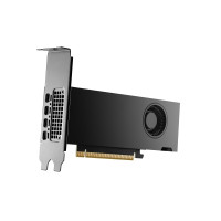Produktbild för NVIDIA RTX 2000 Ada Generation - grafikkort - NVIDIA RTX 2000 Ada - 16 GB
