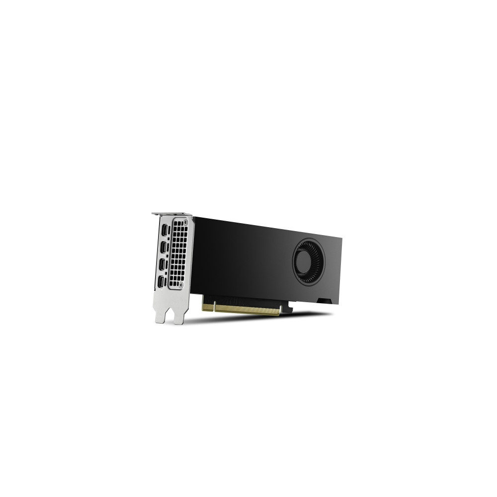 Produktbild för NVIDIA RTX 2000 Ada Generation - grafikkort - NVIDIA RTX 2000 Ada - 16 GB