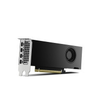 Produktbild för NVIDIA RTX 2000 Ada Generation - grafikkort - NVIDIA RTX 2000 Ada - 16 GB