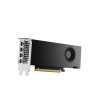 Produktbild för NVIDIA RTX 2000 Ada Generation - grafikkort - NVIDIA RTX 2000 Ada - 16 GB