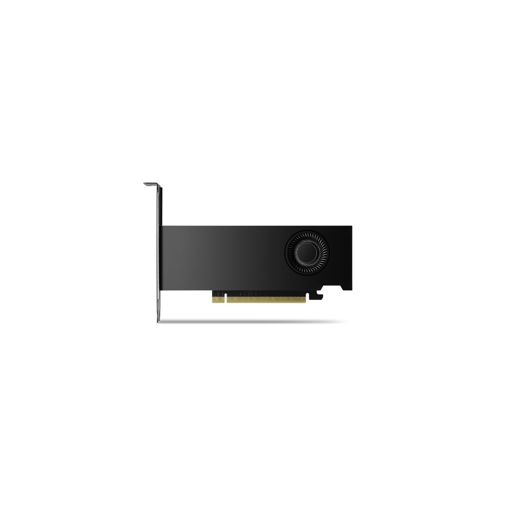 Produktbild för NVIDIA RTX 2000 Ada Generation - grafikkort - NVIDIA RTX 2000 Ada - 16 GB