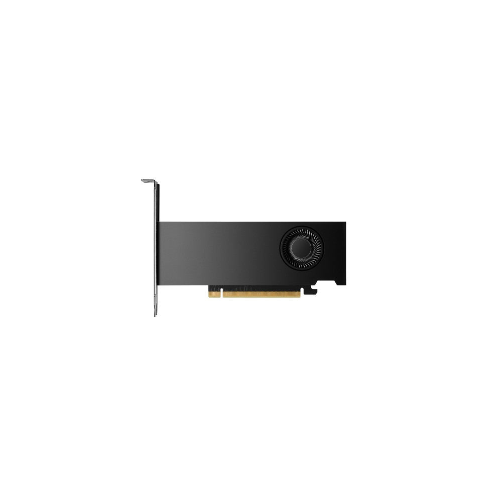 Produktbild för NVIDIA RTX 2000 Ada Generation - grafikkort - NVIDIA RTX 2000 Ada - 16 GB