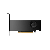 Produktbild för NVIDIA RTX 2000 Ada Generation - grafikkort - NVIDIA RTX 2000 Ada - 16 GB
