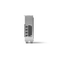 Produktbild för NVIDIA RTX 2000 Ada Generation - grafikkort - NVIDIA RTX 2000 Ada - 16 GB