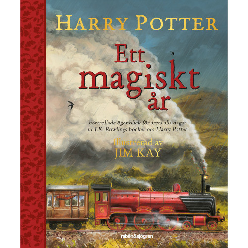 RABÉN & SJÖRGREN Harry Potter - ett magiskt år