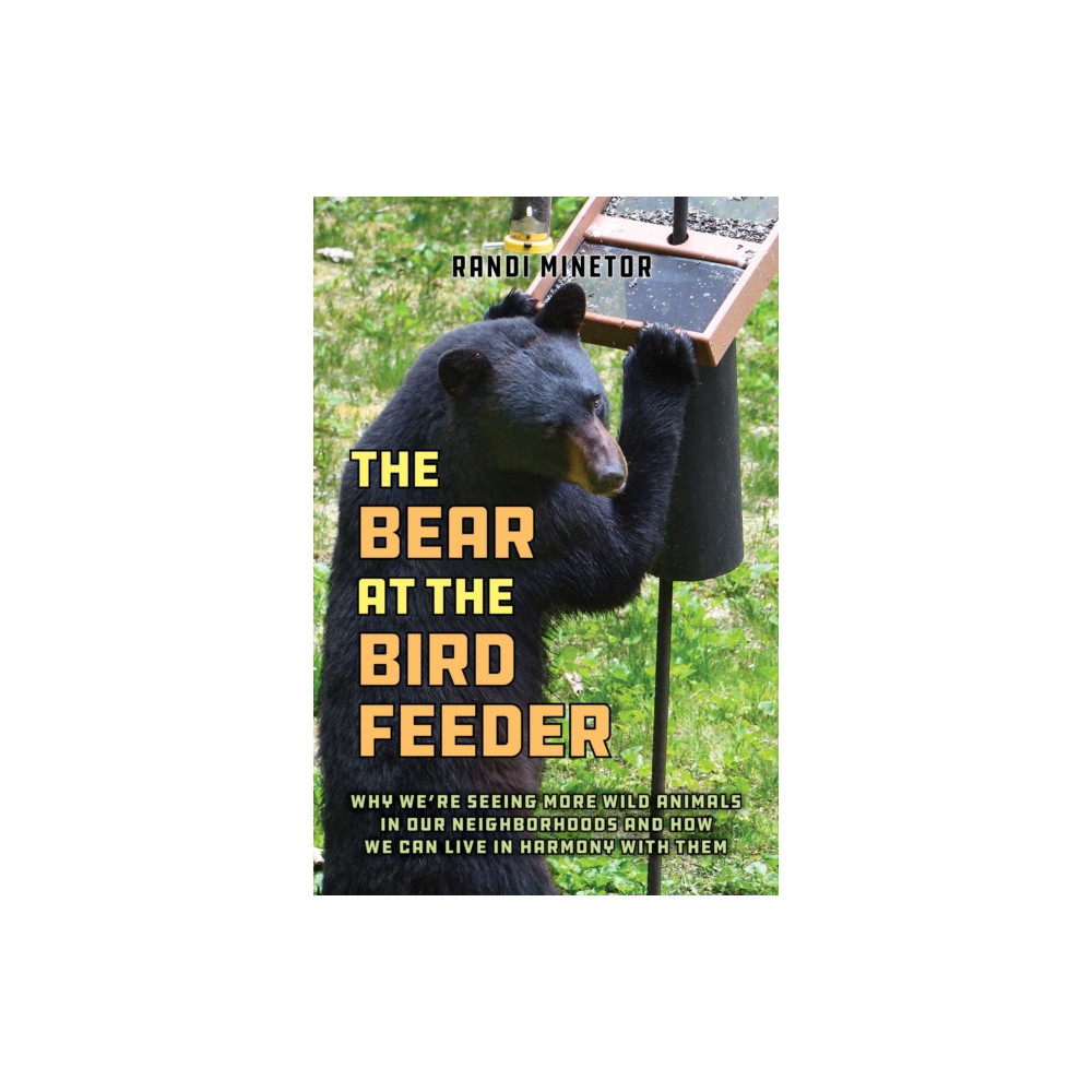 Produktbild för The Bear at the Bird Feeder (häftad, eng)