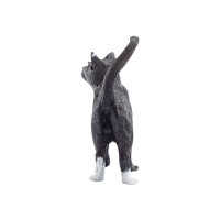 Produktbild för Schleich World of Nature: Farm Life - Katt, stående