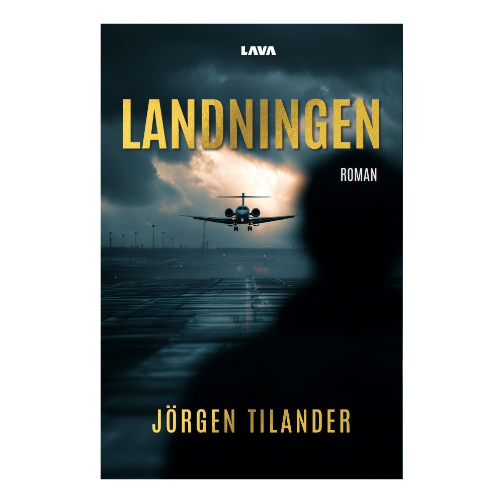 Produktbild för Landningen (bok, danskt band)