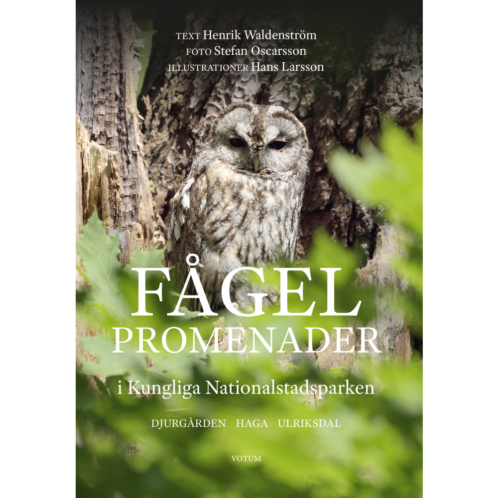 Produktbild för Fågelpromenader i Kungliga Nationalstadsparken (bok, flexband)