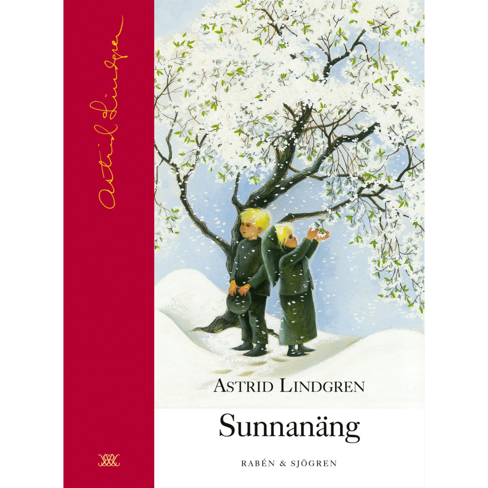 Produktbild för Sunnanäng (bok, halvklotband)