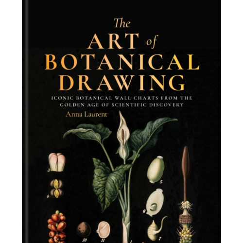 Octopus publishing group The Art of Botanical Painting (inbunden, eng)