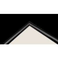 Produktbild för Focus Lily Black 15x20