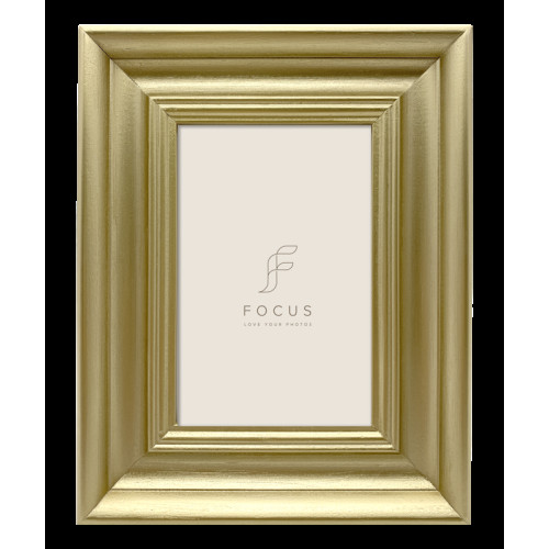 FOCUS Focus Lotus Gold 18x24