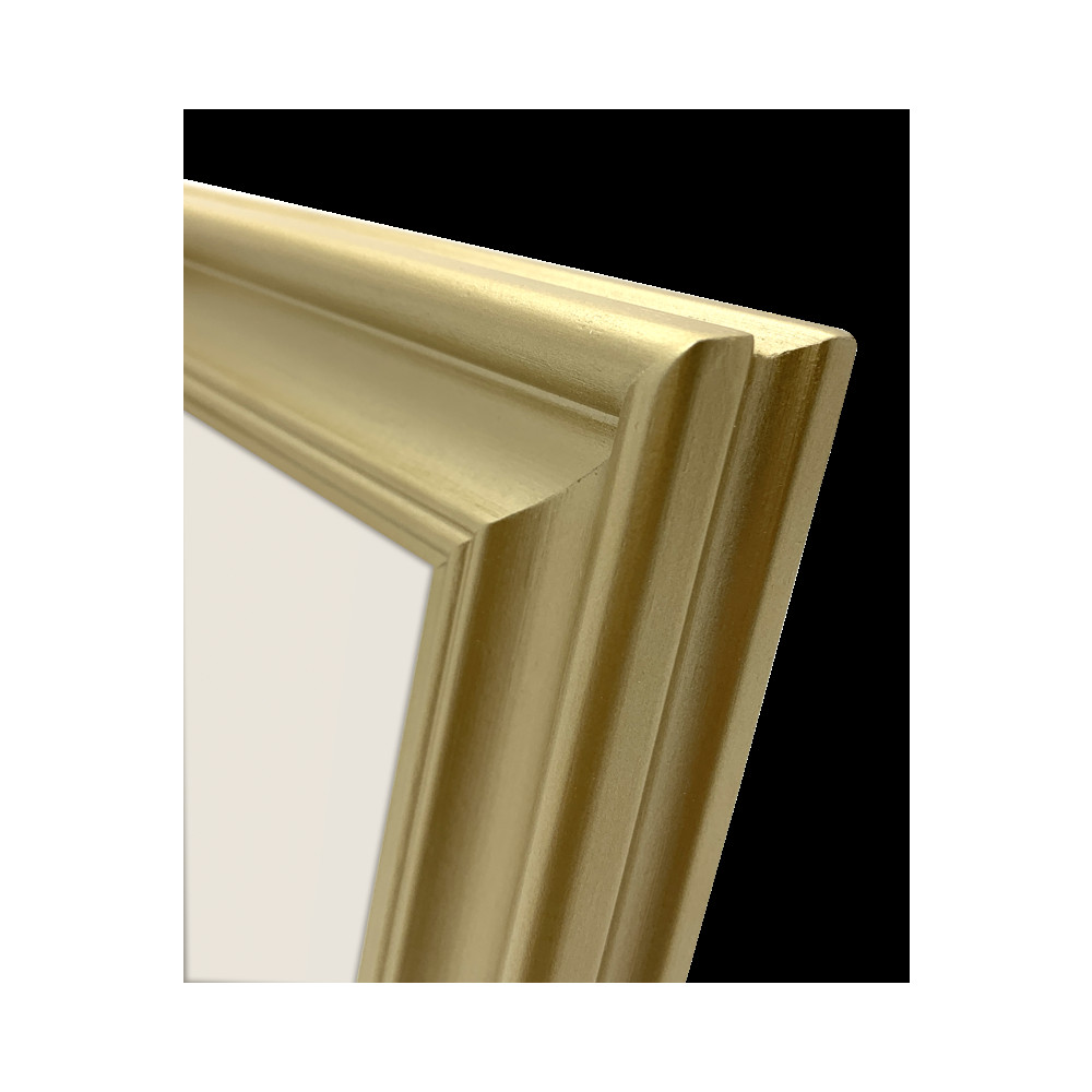Produktbild för Focus Lotus Gold 20x30