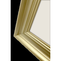 Produktbild för Focus Lotus Gold 20x30