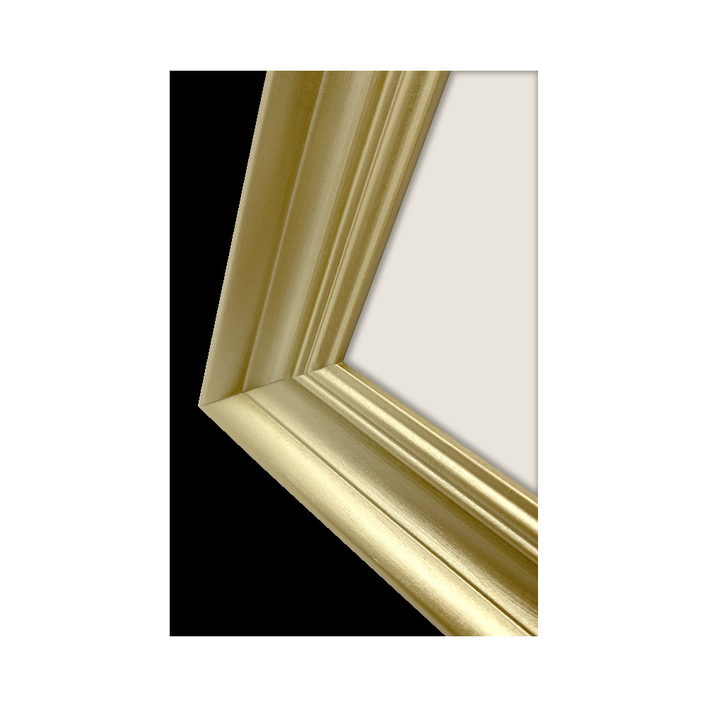 Produktbild för Focus Lotus Gold 30x40