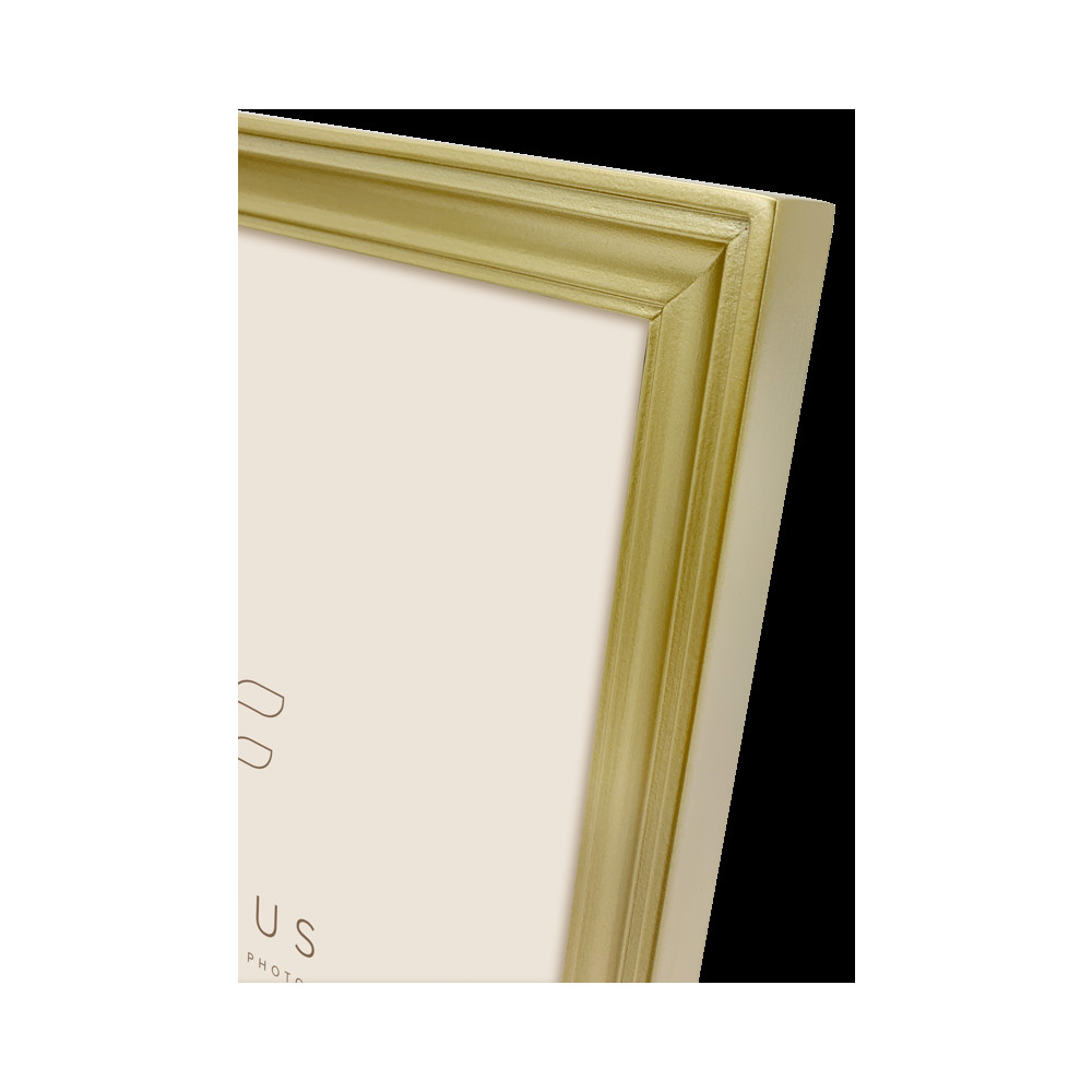 Produktbild för Focus Calla Gold 20x30