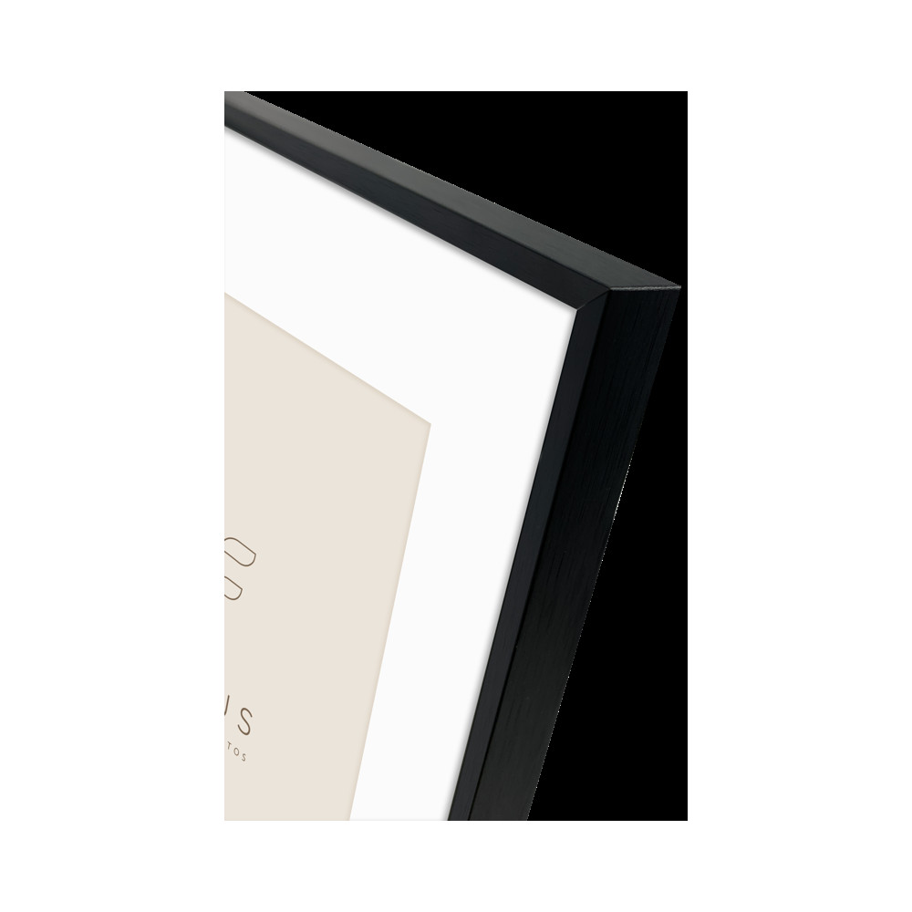 Produktbild för Focus Aster Black 18x24/ PP 13x18