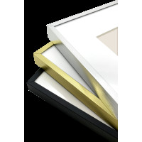 Produktbild för Focus Aster Black 18x24/ PP 13x18