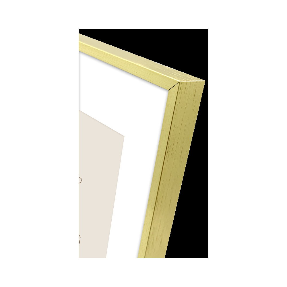 Produktbild för Focus Aster Gold 30x40/PP 20x30