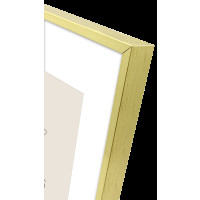 Produktbild för Focus Aster Gold 30x40/PP 20x30
