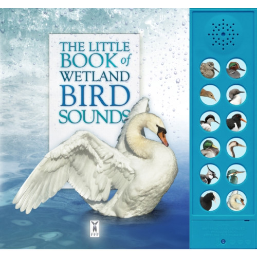 Fine Feather Press Ltd The Little Book of Wetland Bird Sounds (inbunden, eng)