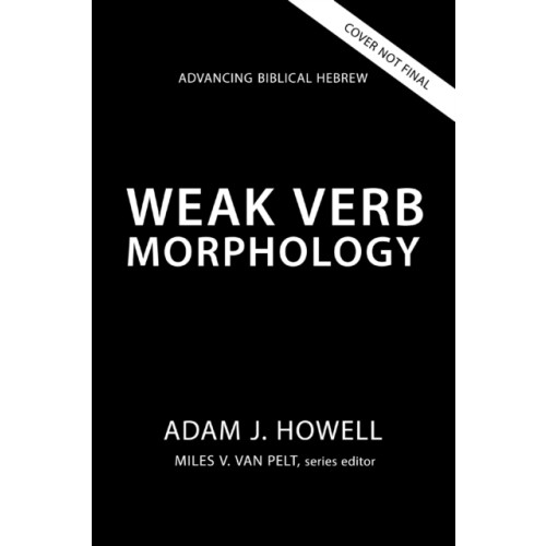 Zondervan Weak Verb Morphology (häftad, eng)