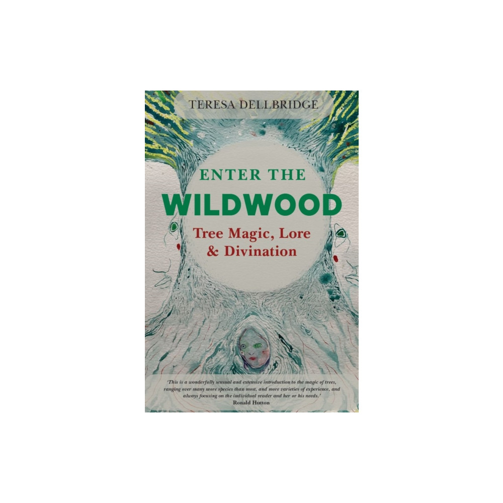 Produktbild för Enter the Wildwood (häftad, eng)